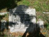 image of grave number 45354